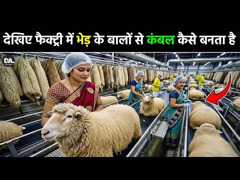 फैक्ट्री में भेड़ के बालों से कंबल कैसे बनता है | Blanket Manufacturing Process | Sheep Wool Factory