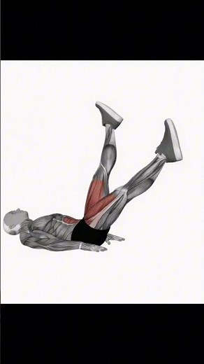 Alternate Leg Raise for Beginners 🔥 Easy & Core-Effective!