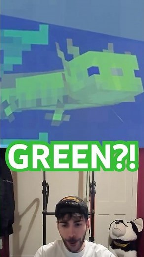 How do you get a Green Axolotl in Minecraft