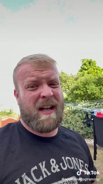 Helping Your Dog Stay Calm When You Stop - Tips for Dog Owners