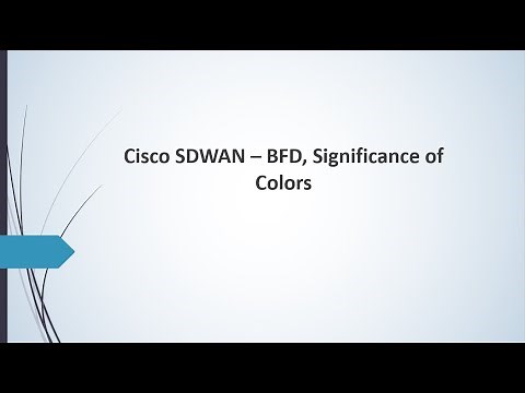 Cisco SD-WAN BFD Explained | What Is Color & Transport in SD-WAN? | Free SD-WAN Course Ch-13 #BFD