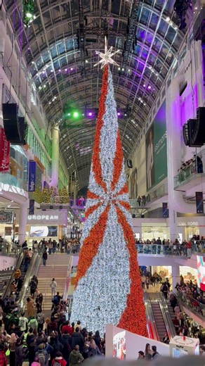 145K views · 3.6K reactions | Toronto Eaton Centre tree lighting...