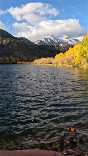 Fall Fishing @ North Lake Bishop Creek Canyon | STUNNING VIEWS #395 #trout