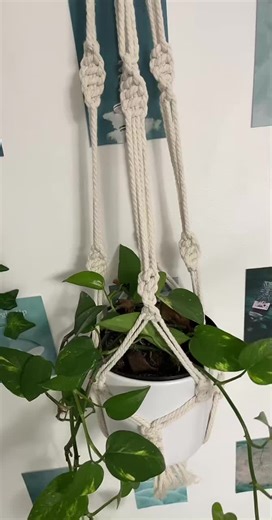 Makramee Blumenampel leicht gemacht: DIY Anleitung