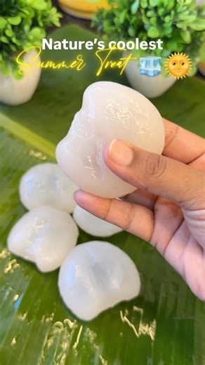 Summer Treat😋 ತಾಳೆ ಹಣ್ಣು ❤️ #iceapple #summerfruit #healthyfood #seasonalfruit #hydration #fyp