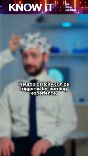 What is Neuroplasticity?