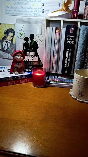 Unboxing Libros 📚✨ Si supieran todo lo que espere por estos libros, y el trajín que pasaron para llegar hasta mis manos 🫡 @Charlie N. Holmberg es mi autora favorita y amo sus libros, valio totalmente la espera. Cabe aclarar que el papel rosa ya estaba así porque alguien recibió primero por mi el libro y pues lo abrió para ver qué era lo que pedí. #unboxing #libros #lectores