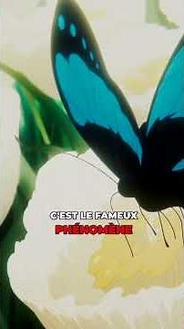 The Fall of Esperia: Manipulation or Erasure? #OnePiece Theory
