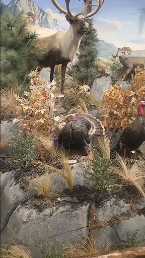 cabela's in Calgary