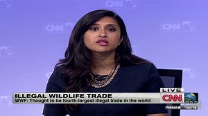 WWF: Wildlife crime escalating