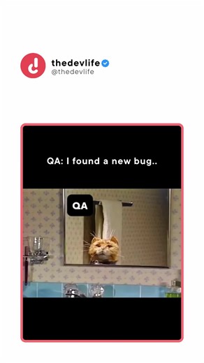 QA: “A tiny bug was found” — Developer: shut your mouth . Follow @thedevlife for more content like this . Credit :- @thedevlife #thedevlife #code #learnprogramming #programinglife #softwareengineers #programmings #codehumor