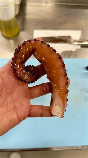 Filipe Duarte on Instagram: "No primeiro restaurante que trabalhei, cozinhávamos 4 TONELADAS de polvo por mês, então depois dessa grande experiência eu não faço polvo na panela de pressão, se eu tenho tempo faço na panela normal porque pra mim esse é o melhor jeito de cozinhar o polvo. Caso eu não tenha tempo em um último recurso eu uso a pressão, mas não é o melhor jeito na minha opinião. A pressão além de machucar a pele, faz com que o polvo fique com uma textura que pra mim não é agradável, m