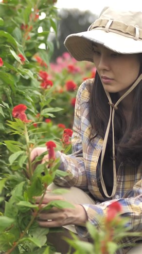 Mindful gardening is a great way to practice mindfulness outdoors by focusing on the sights, sounds, smells, and textures of the gardening tasks at hand. Here are some tips from the 2024 Garden Guide for cultivating mindfulness in the garden! Almanac.com/GG | The Old Farmers Almanac