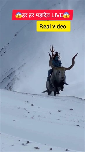 🔴 LIVE | HAR HAR MAHADEV #sort #kedarnath #vairelsort #hindudeity #harharmahadev #bhaktishorts