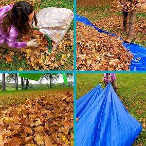 176K views · 357 reactions | Keeping your lawn leaf free is a breeze with handy tools like giant rake claws, leaf grabbers and other helpful leaf eliminators. 粒 Shop the Best Tools for Picking Up Leaves in Your Yard>> https://hg.tv/3j5RBHG | HGTV | Facebook