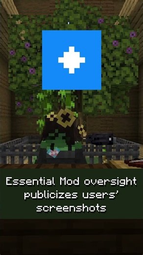 Essential Mod publicizing users' screenshots