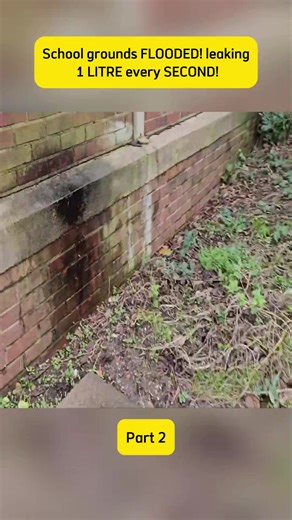 Electrician Company Addresses Electrical Leak Issues