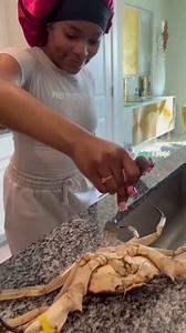 Funny cats 😂 | Stormi Maya