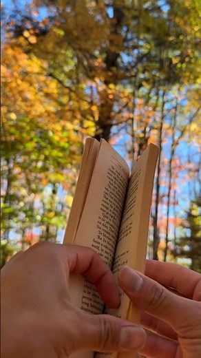 [POV 4K ASMR] reading sherlock holmes in the maine woods during peak autumn