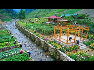 Off Grid Living in Vietnam | Green Garden, Fish Pond & Wood & Stone House