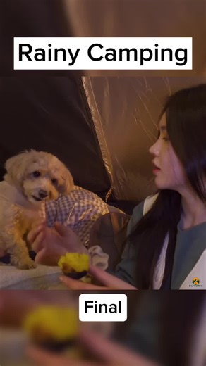 Explore the Joys of Camping in Nature