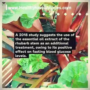 7 Health Benefits of Rhubarb. | All about health and nutrition