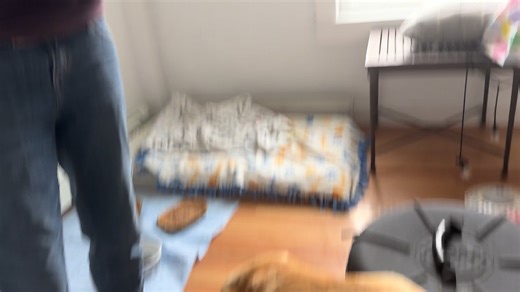 Rebecca Clark on Reels