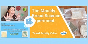 KS2 (Ages 7-11) Activity Video: Mouldy Bread Experiment