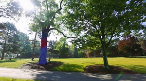 31K views · 540 reactions | The summer is passing by quickly and before we know it, new and returning students will be arriving on campus. Enjoy our “Discover Geneseo” video, with images of what we think is the most beautiful campus in the country. | SUNY Geneseo | Facebook