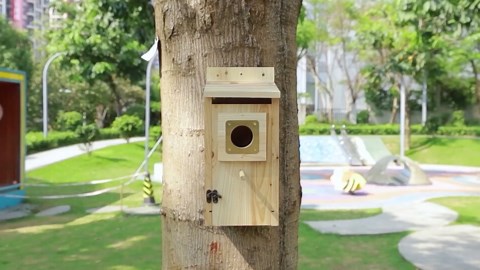 Bird Houses for Outside with Copper Guard,Thicken Wooden Bluebird House Clearance Garden Country Cottages, Nesting Box for Finch Swallow Wren Chickadee Wild Bird Supplies
