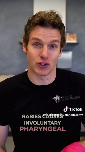 Hydrophobia: The Terror of Rabies Explained