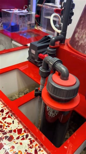 2.5K views · 40 reactions | Maintenance day on the 1200g HQ Reef....