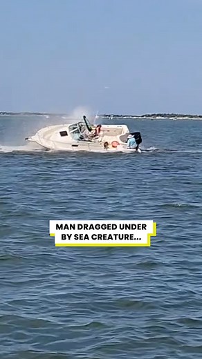 The creature came out of nowhere and dragged him under...😳 | Bluntly