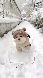 Adobe Photoshop Elements & Premiere Elements on Reels