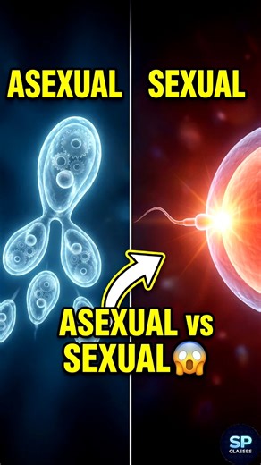Asexual vs Sexual Reproduction | Class 10 Biology Explained in 1 Minute #shorts #Biology #neet #gk