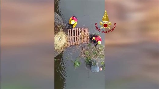 Giornata dei Vigili del Fuoco, 912mila interventi nel 2021 in Italia