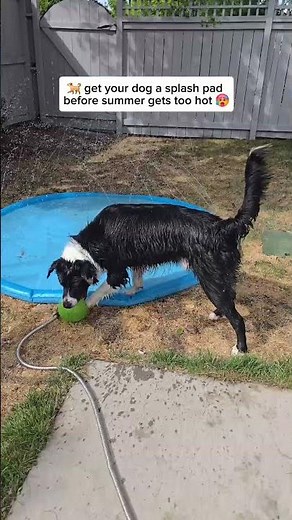 Pecute Splash Pad — a thickened anti slip water sprinkler mat designed for kids AND dogs