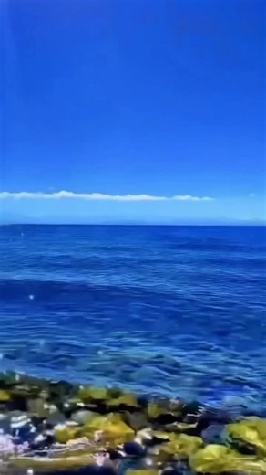 ‼️Kailash Mansarovar Yatra 2026 - Bookings are open now‼️ 👉14 days Kailash Overland tour is the most popular trip among the Yatries and the price of this trip is depending on the the category of hotels in Kathmandu. 🙏For more information, please contact us👇 📞00977 98510 36844 📩 alpineecotrek@gmail.com ✅Kailash Overland Tour- Group Joining dates for 2026 May 2026: 24th May 2026 (full Moon Trip) - 6th June 2026 31st May 2026 - 13th June 2026 June 2026: 2nd June 2026 - 15th June 2026 9th June 