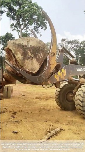 Timber Reloaded: The Physics of Moving Forest Giants