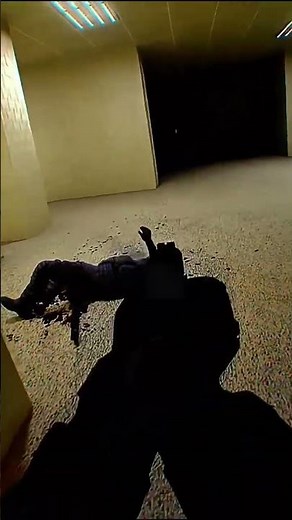 BodyCam BackRooms #firstpersonshooter #fps #bodycam #bodycamgame #fypgaming
