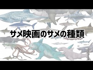 [Shark movie Society research] Ranking of the number of shark species appearing [+drawn］