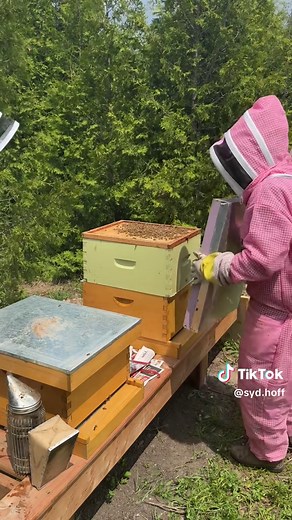 Comment two names below that you think would be a good fit for my queens🐝