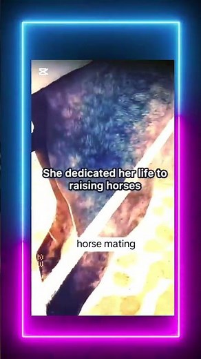 Horse Mating with Donkey | Animal Breeding Facts | #LIVEReason ##AnimalBreeding #Wildlife