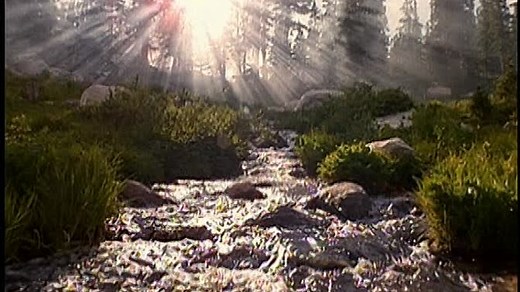 Baby Neptune 2009 DVD (Grow With Me Version)