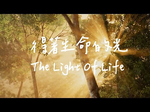 The Light Of Life | Piano Soaking Music | Christian piano | Instrumental Music | Worship