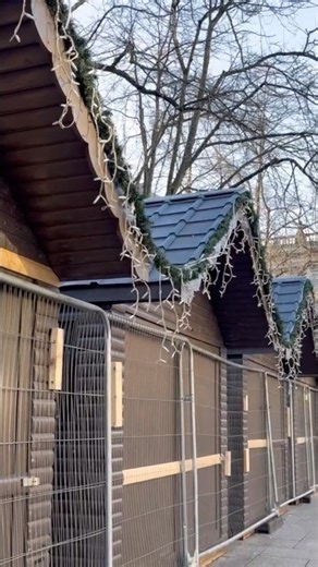 Belfast City Day View 🌆 | Streets & Cathedral