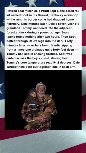 Orphaned Fox Kit Saves Coal Miners Son