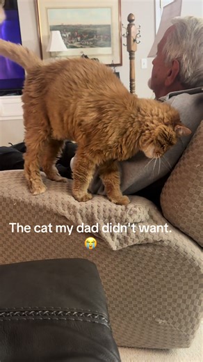 The Cat My Dad Didn't Want: A Heartwarming Transformation