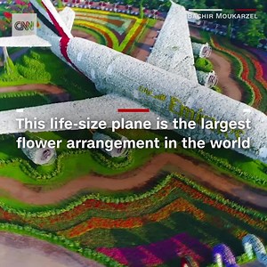 Dubai’s Miracle Garden is home to spectacular displays of 150 million flowers – including a life-size plane https://cnn.it/3mLIPkU | CNN International
