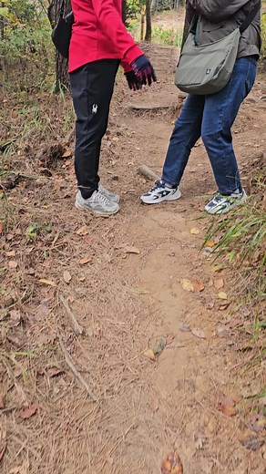 Romantic Nature Walk: Two Women in the Forest